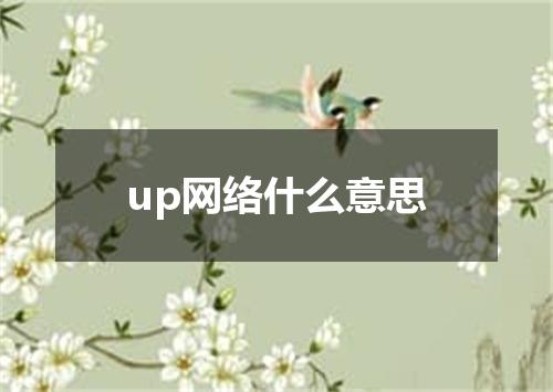 up网络什么意思
