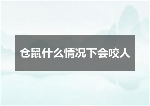 仓鼠什么情况下会咬人