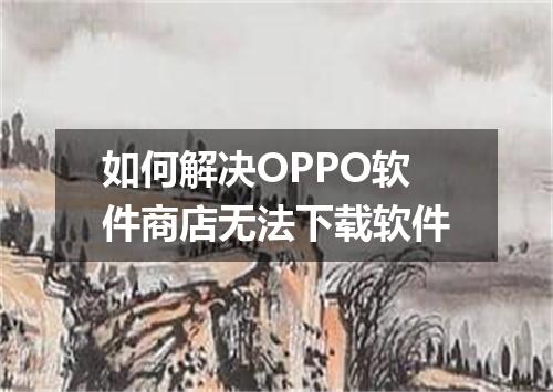 如何解决OPPO软件商店无法下载软件