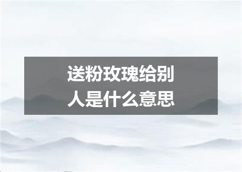 送粉玫瑰给别人是什么意思