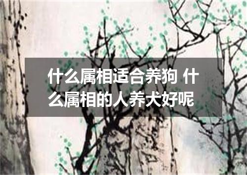 什么属相适合养狗 什么属相的人养犬好呢