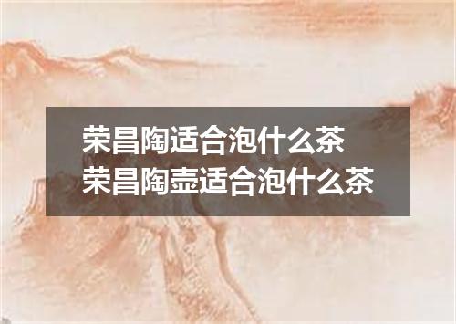 荣昌陶适合泡什么茶 荣昌陶壶适合泡什么茶