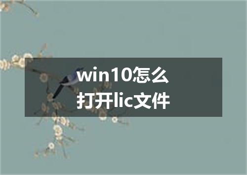 win10怎么打开lic文件