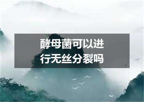 酵母菌可以进行无丝分裂吗