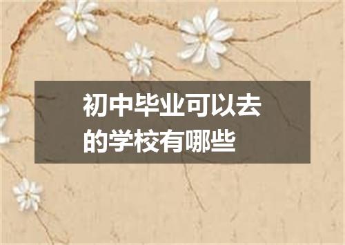 初中毕业可以去的学校有哪些