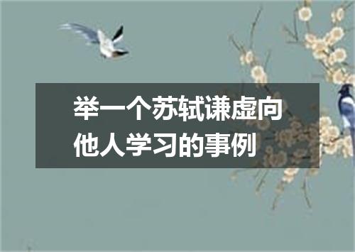 举一个苏轼谦虚向他人学习的事例
