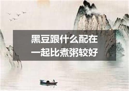 黑豆跟什么配在一起比煮粥较好