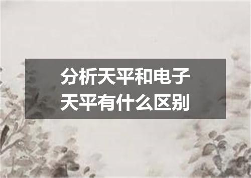 分析天平和电子天平有什么区别