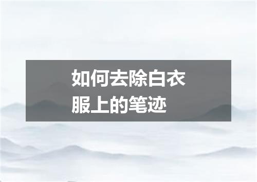 如何去除白衣服上的笔迹