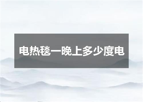 电热毯一晚上多少度电