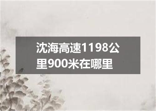 沈海高速1198公里900米在哪里