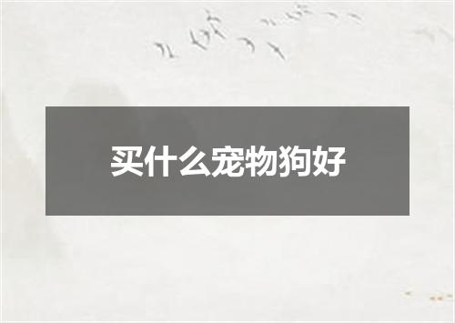 买什么宠物狗好