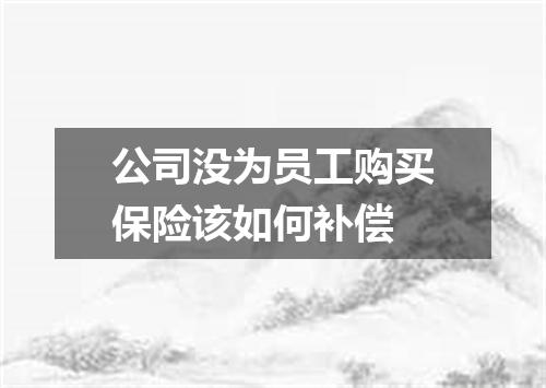公司没为员工购买保险该如何补偿