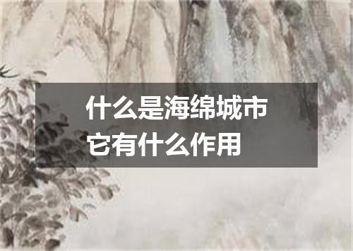 什么是海绵城市它有什么作用