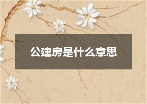 公建房是什么意思