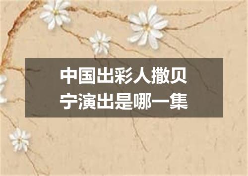 中国出彩人撒贝宁演出是哪一集