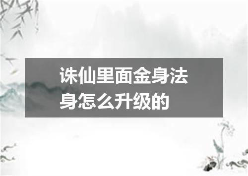 诛仙里面金身法身怎么升级的