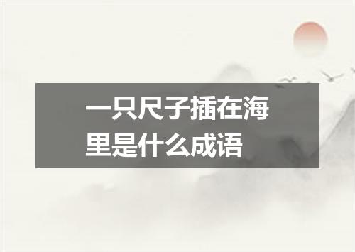 一只尺子插在海里是什么成语