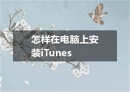 怎样在电脑上安装iTunes