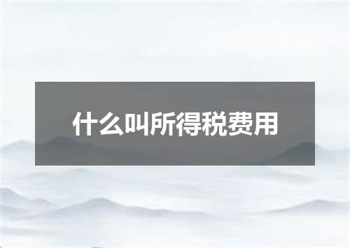 什么叫所得税费用