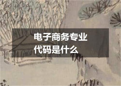 电子商务专业代码是什么