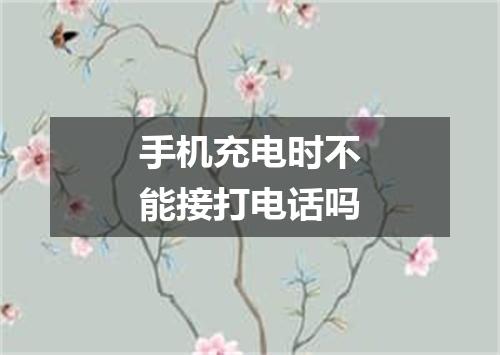 手机充电时不能接打电话吗
