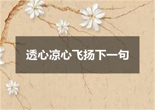 透心凉心飞扬下一句