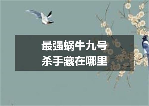 最强蜗牛九号杀手藏在哪里