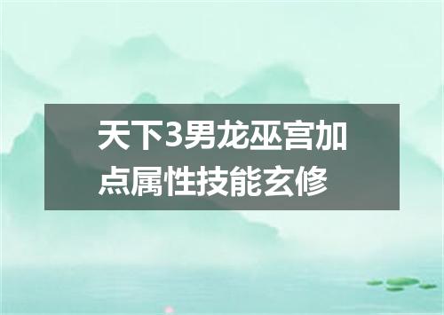 天下3男龙巫宫加点属性技能玄修