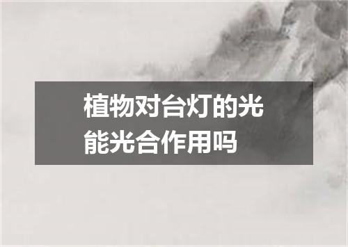 植物对台灯的光能光合作用吗