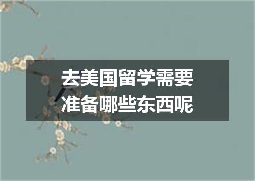 去美国留学需要准备哪些东西呢