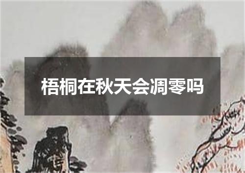 梧桐在秋天会凋零吗