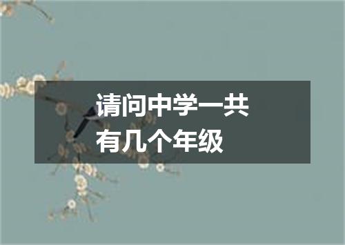 请问中学一共有几个年级
