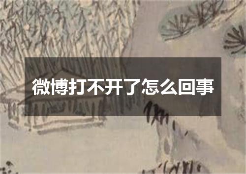 微博打不开了怎么回事