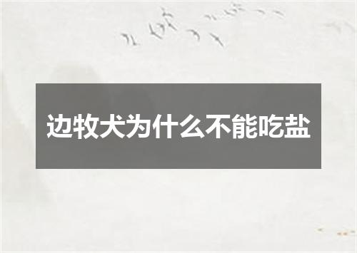 边牧犬为什么不能吃盐