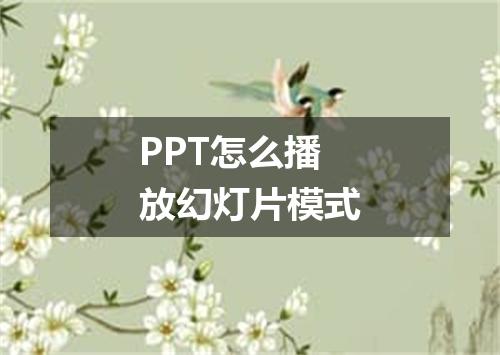 PPT怎么播放幻灯片模式