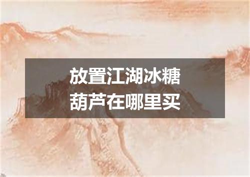 放置江湖冰糖葫芦在哪里买