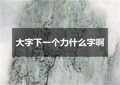 大字下一个力什么字啊