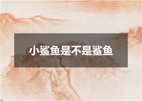 小鲨鱼是不是鲨鱼