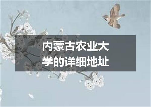 内蒙古农业大学的详细地址