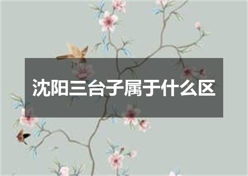 沈阳三台子属于什么区