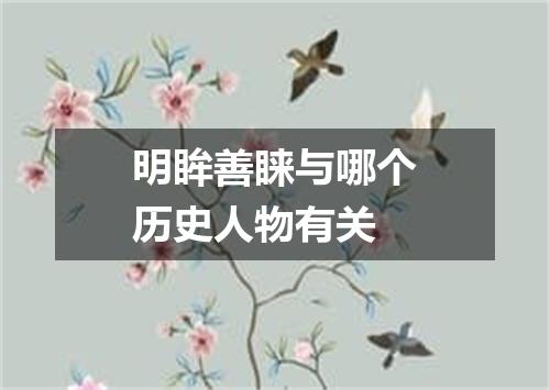 明眸善睐与哪个历史人物有关
