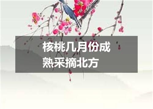 核桃几月份成熟采摘北方