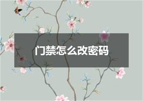 门禁怎么改密码
