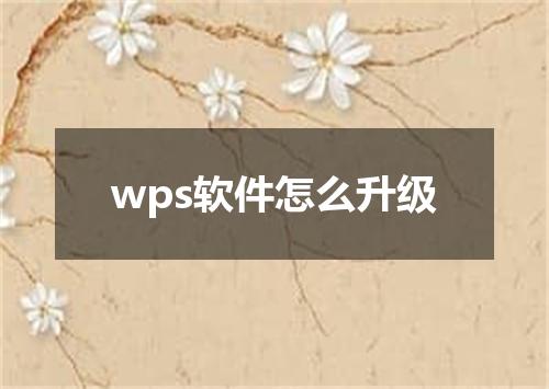 wps软件怎么升级