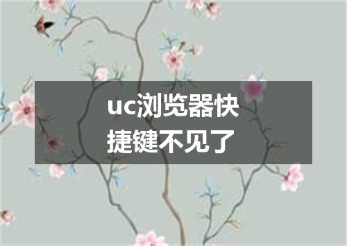 uc浏览器快捷键不见了