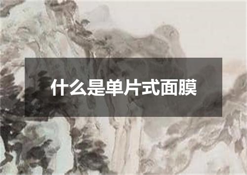什么是单片式面膜