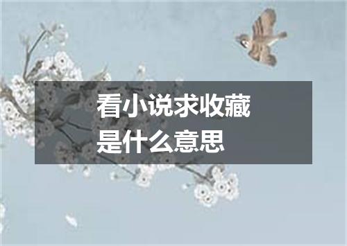 看小说求收藏是什么意思