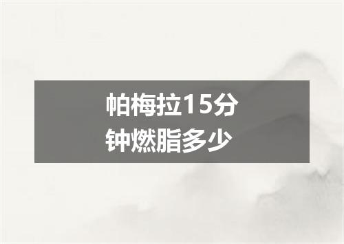 帕梅拉15分钟燃脂多少