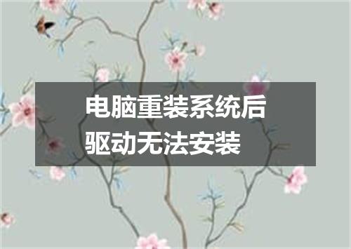 电脑重装系统后驱动无法安装